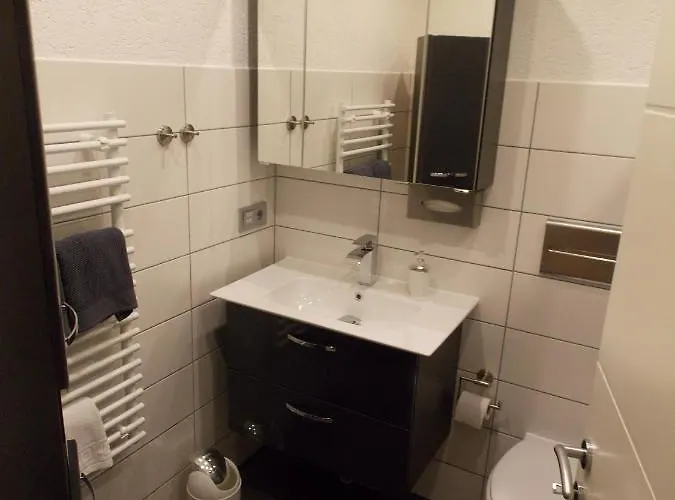 Brunnenbach Ii 公寓 *